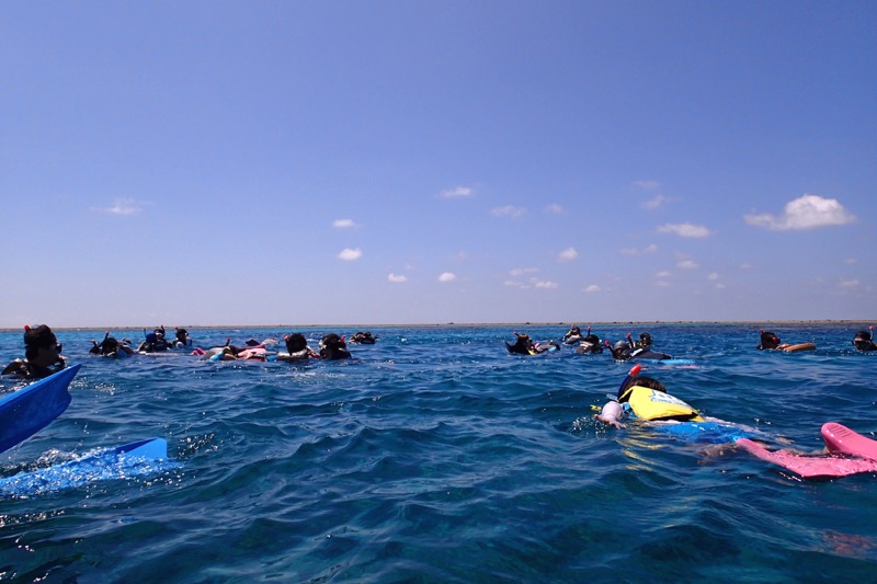 okinawa kerama news snorkeling_080