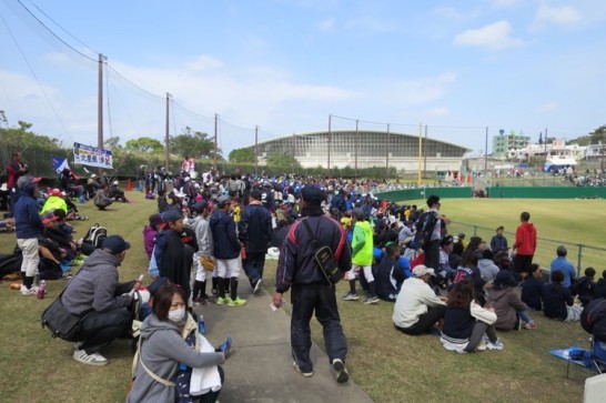 プロ野球,2016年,オープン戦,春季キャンプ,阪神タイガース