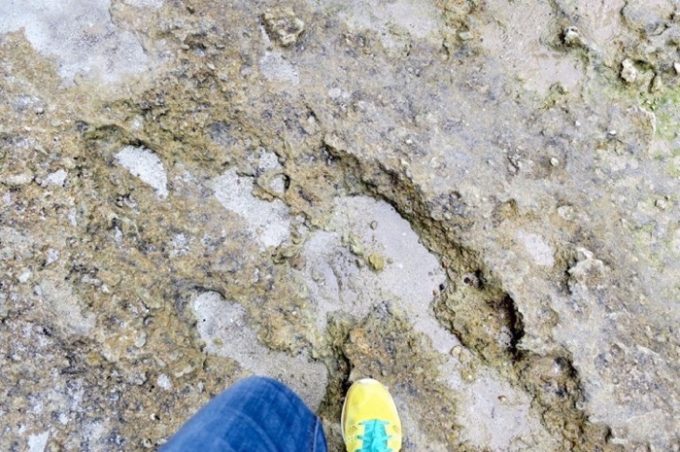 仏ヶ浦の足元は砂地や岩場が多いので、歩きやすい靴をオススメしたい。