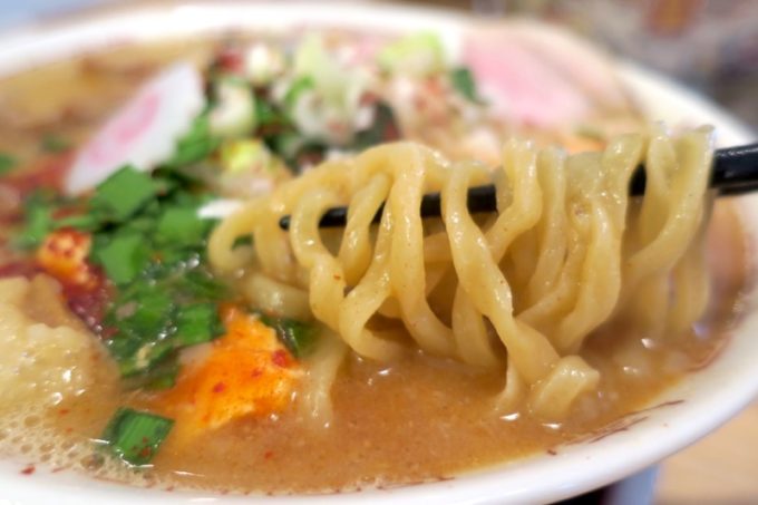 スタミナホルモン味噌豚骨の麺はスープに負けない極太縮れ麺。