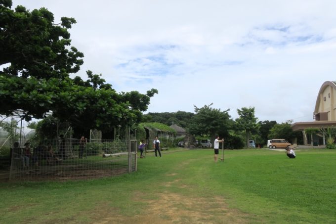 沖縄・今帰仁「あいあいファーム」のグラウンドで自由に遊ぼう。