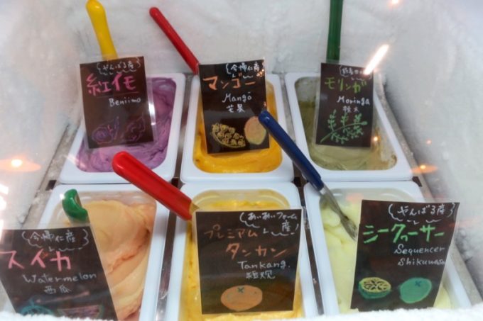 沖縄・今帰仁「あいあいファーム」直売所で売られているアイスがおいしそう。
