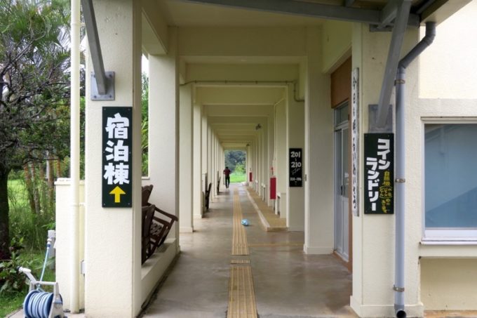 沖縄・今帰仁「あいあいファーム」の宿泊棟は湧川小学校の校舎跡だ。