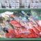 沖縄市「泡瀬漁港 パヤオ直売所」いかにも沖縄らしい色鮮やかな鮮魚。