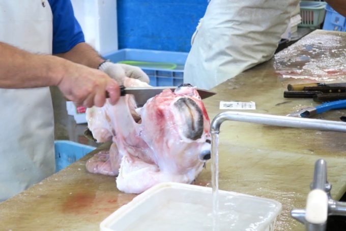 沖縄市「泡瀬漁港 パヤオ直売店」で皮をはがれて調理されていたアバサー（ハリセンボン）。