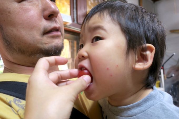 熊本「古賀酒店」の常連さんからさくらんぼをおすそ分けしていただき、食べるお子サマー。