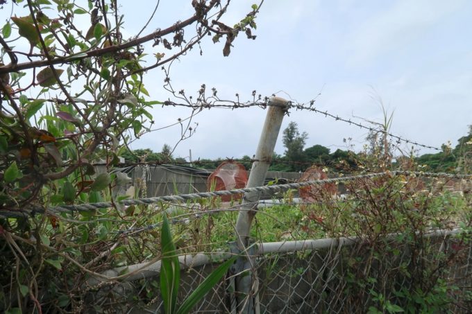沖縄県宜野座村「車えびレストラン 球屋」の隣にある車海老の養殖場