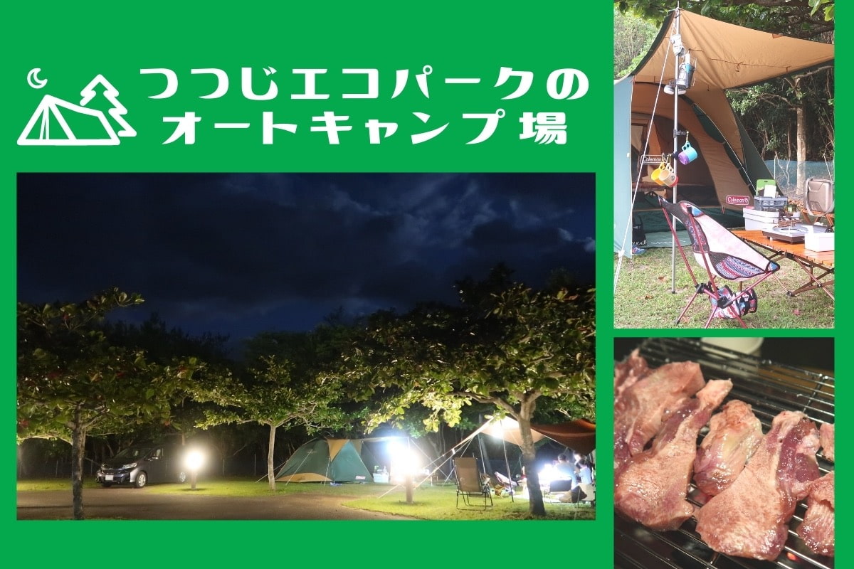 沖縄県東村「つつじエコパーク」キャンプ場のMV