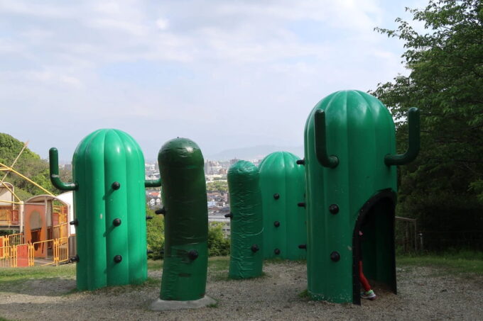 愛媛県松山市「松山総合公園」の坊ちゃん夢ランドのサボテン遊具