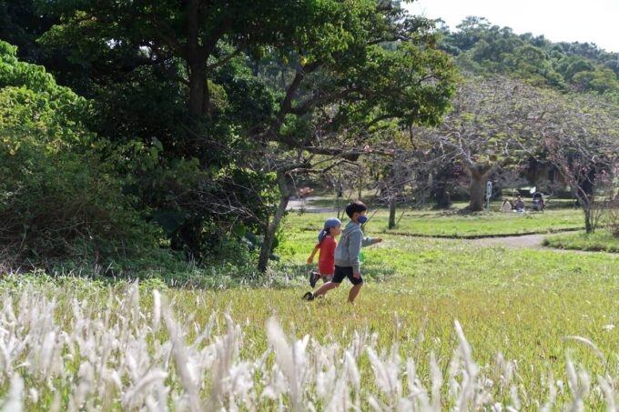 沖縄市「八重島公園」はらっぱで走りまくるお子サマーとお友達