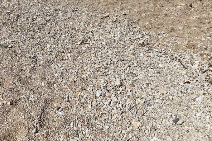 読谷村「渡具知ビーチ」の足元は砂と珊瑚が混ざった状態