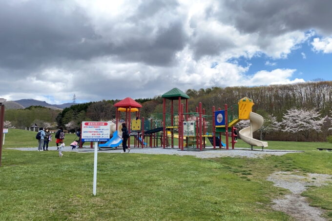 道南四季の杜公園「野原の丘ゾーン」はらっぱにあるコンビネーション遊具