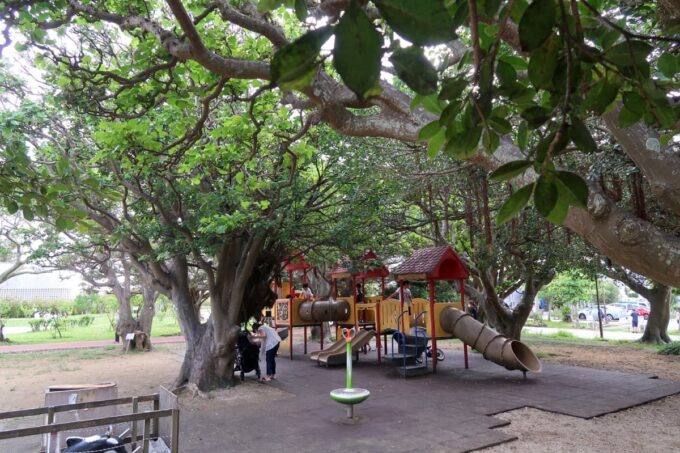 那覇市おもろまち「ひがし食堂Jr.」は新都心公園の那覇市緑化センターにある